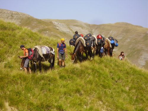 trekking con i muli-231.jpg